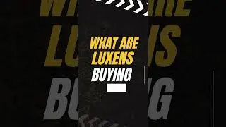 What Luxens Are Buying on Amazon Prime Day