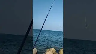 Ловля меланура в Турции. #fishing #рыбалка #melanur #рокфишинг #рыба