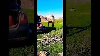 салто