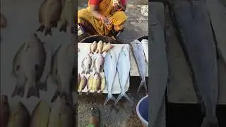 Vizag Fishing Harbour #fishing #vizag #vizagfishingharbour #vizagvlogger #husbandwife #funny