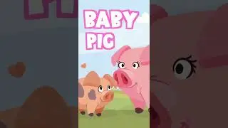 Baby pig doo doo doo doo! #babyshark #nurseryrhymes #oldmacdonaldhadafarm