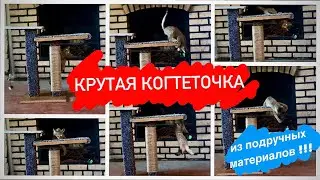 Крутая когтеточка из подручных материалов!!!