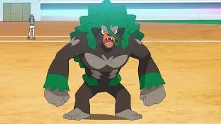 Grookey,Thwackey and Rillaboom Pokemon all Attacks  