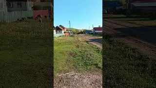 #деревня #деревенскаяжизнь #деревенька