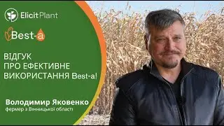 🌽 Відгук фермера з Вінницької області Володимира Яковенка про іноваційний біостимулятор Best-a.