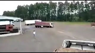 tomateiro saiu cruzando machas