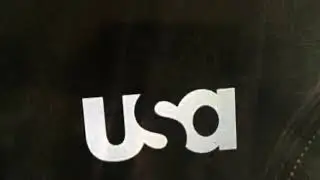 USA logo