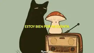 WIM • Mr. Feelgood [Traducción al Español]