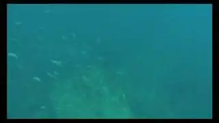 Seychelles plongée sous-marine Enerdale wreck Mahe