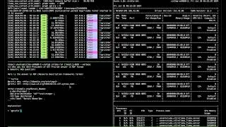 Test run Llama3.1:405b on 8x Tesla H100-80Gb node using ollama