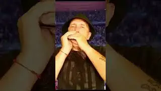 #harmonica