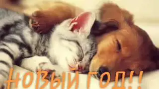 с новым Годом!!чит опис