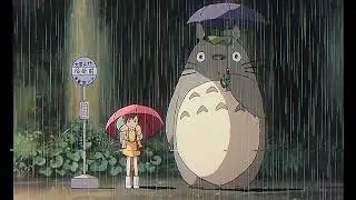 Rainy Night