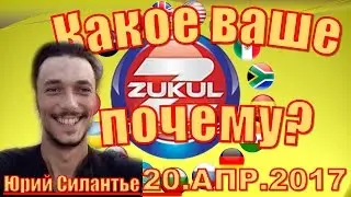 Какое Ваше Почему? 20.АПР.2017