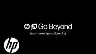 HP and WWF are working to counteract deforestation in the Atlantic Forest in Brazil | HP