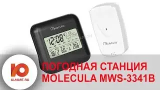 Видео Обзор: погодная станция Molecula MWS-3341B | Юлмарт