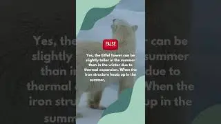 The Truth About Hibernation: Can Humans Hibernate Like Animals? 🐻❄️  