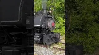 Listen to THIS Whistle!