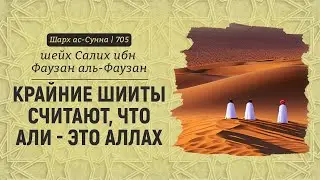Крайние шииты считают, что Али - это Аллах | Шейх Салих аль-Фаузан | Шарх ас-Сунна (705)