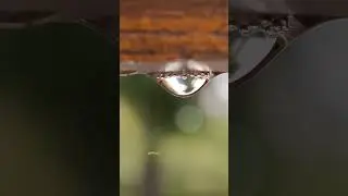 Super Macro Rain Drop 💧