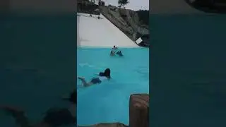 DEIXA O CURTI