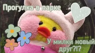 Милка едет в парк | наша прогулка | у Милки новый друг! 