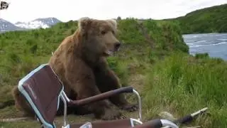 Compilation animaux trop drôle #2 - Funny Animal Epic Fail Compilation