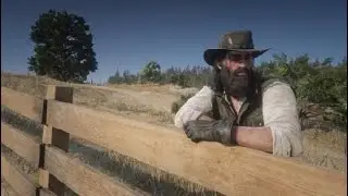 Red Dead Redemption 2 fence