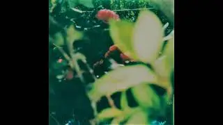 (FREE) Umi x Frank Ocean Guitar Type Beat - 