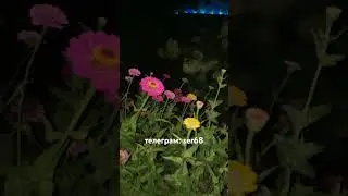 Поздний вечер 