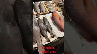 Evening Outing#shorts #fishfry# BBQ#nature #anilmal #fish#bangladesh #see#seefishing