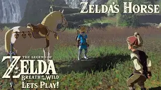 How To Get Zelda's Horse In Breath Of The Wild!