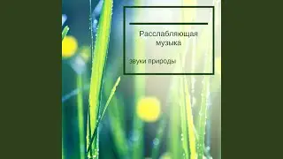 Индийские песни