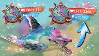 WildCraft - Level up Dolphin to lvl 200 !