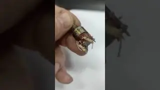Скупка радиодеталей