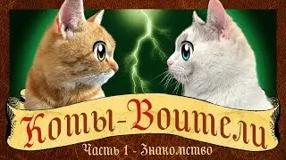CATS-WARRIORS: GO WILD! The story of a cat GINGER! cat Kid and cat Murka WARRIOR CATS animation