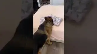 Прятки