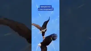 Прекрасное стихотворение!!!