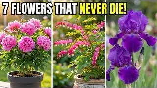 Plant These 7 LONG-LASTING Perennials ONCE - Blooms For 20 Years (Some Live 100!)