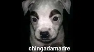 Titulo del encabezado