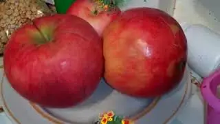 Осень в саду 2  №105  x264