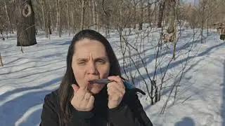 Март на японском варгане Бабаева