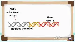 Daniela Alves Pereira - Videos premiados no 65 congresso Brasileiro de Genética