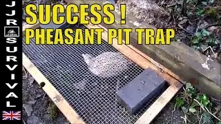 HOW TO TRAP A PHEASANT IN A PIT TRAP
