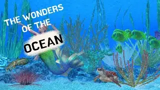 The Wonders Of The Ocean || Amazing Knowledge About Its Creatures,Trees And Animals...