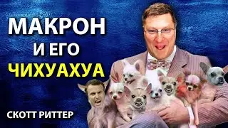 Скотт Pиттер - Макрон и его чихуахуа