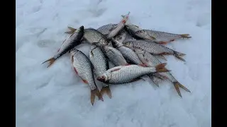 КЛЮЁТ КАЖДУЮ МИНУТУ. КРУПНАЯ ПЛОТВА НА ОЗЕРНЕ.