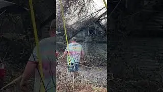 #tree #diy  #funny