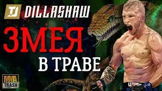 ТИ ДЖЕЙ ДИЛЛАШОУ 