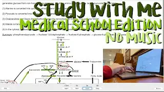 Study With Me (no music, 1.5 hours) - Medical School Edition (Anki reviews)